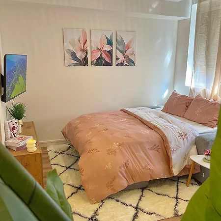 Studio, T2 Ou T3 Au Coeur De La Appartement
