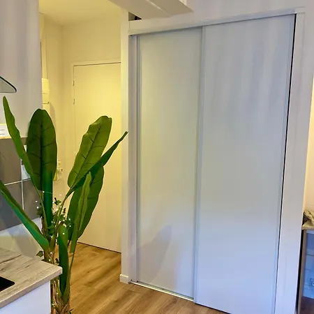 Studio, T2 Ou T3 Au Coeur De La Appartement *