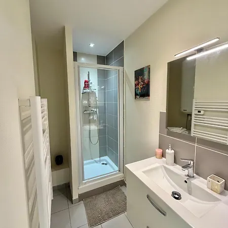 Studio, T2 Ou T3 Au Coeur De La Appartement *
